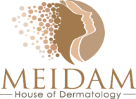 MEIDAM 2026 logo
